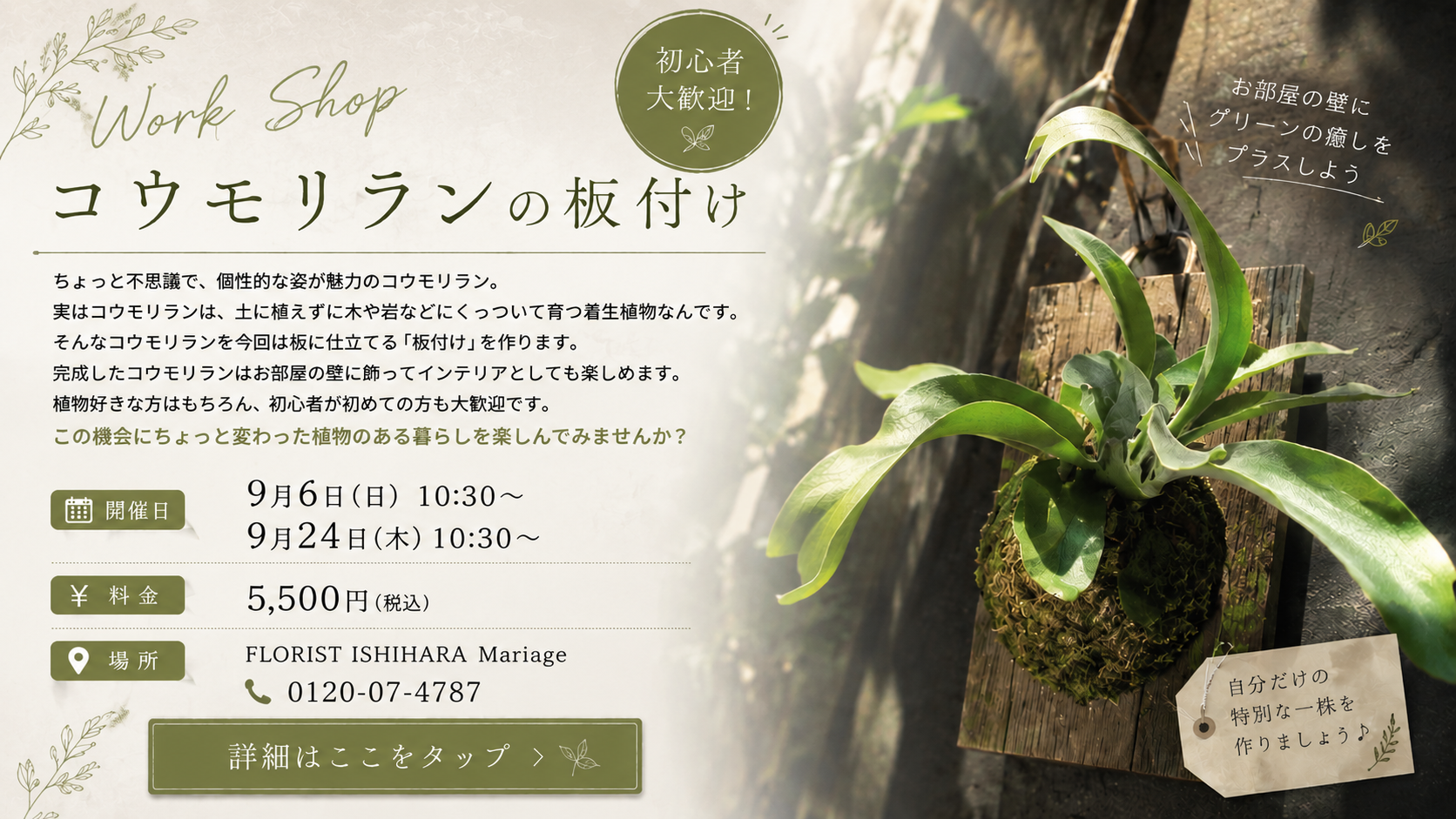 Work Shop コウモリランの板付けをしよう！